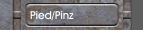 Pied/Pinz 