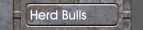 Herd Bulls